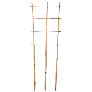 Bambusowa kratka do ogrodu i pergoli, idealna dla roślin pnących.