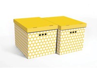 Erkar-Opakowania Komplet pudeł KOŁA XL musztardowy 2 szt.