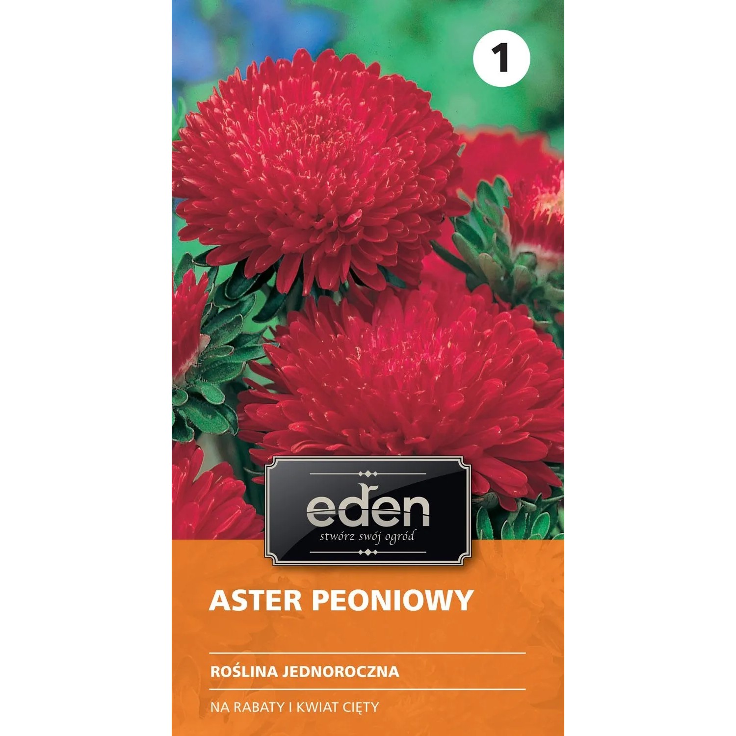 Aster chiński peoniowy Stanisław - 0,5 g