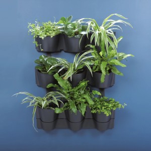 Wisząca doniczka ścienna t.b.t. z różnymi zielonymi roślinami.