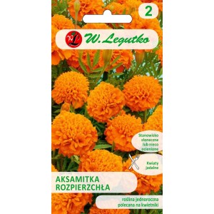 Opakowanie nasion aksamitki (Tagetes) z pomarańczowymi kwiatami.