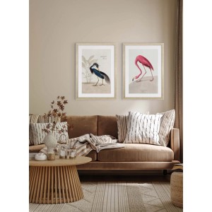 ARS LONGA Obraz HERON LOUISIANA 55 x 75 cm