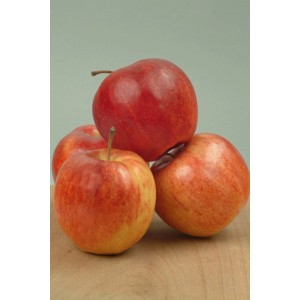 Świeże, czerwone jabłka Jabłonie na drewnianym stole.