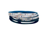 Taśma LED 12V 5m 24W 2400lm 3000K IP20