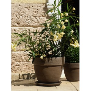 Donica terakotowa Levante w kolorze bazaltu (Ø 35 cm) z rośliną na tarasie.