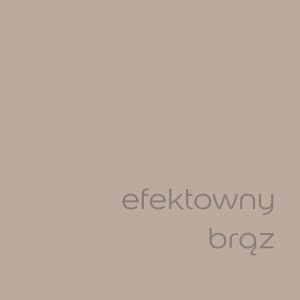 Próbka koloru: Elegancki brąz do ścian wewnętrznych. Farba do ścian t.b.t.