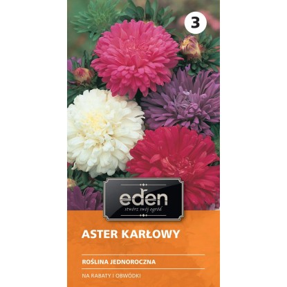 Aster chiński karłowy mieszanka - 1 g