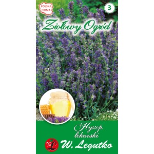 Opakowanie nasion hyzopu z kwitnącą rośliną i słoikiem miodu. Nasiona ziół do ogrodu.