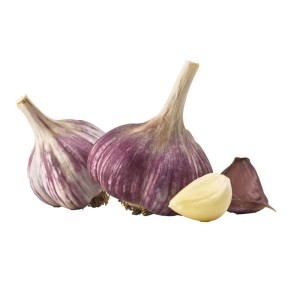 Ząbki czosnku: Dwie główki czosnku z fioletowymi paskami i pojedyncze ząbki. Warzywo.