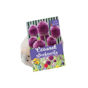 Opakowanie czosnku ozdobnego 't.b.t.' (Warzywa) z fioletowymi kwiatostanami.
