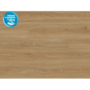 Jasny wygląd drewna paneli t.b.t. Szczegółowe ujęcie paneli podłogowych.