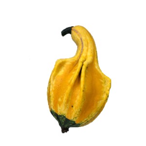 Dekoracyjna żółto-zielona tykwa ozdobna do dekoracji ogrodu.