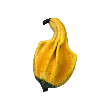 Dynia ozdobna mix - 0,5 kg