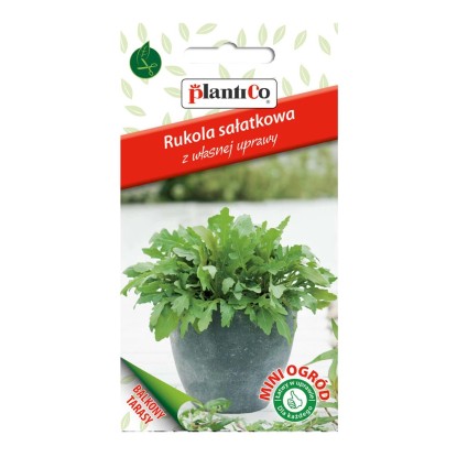 Rukola Mini Ogród