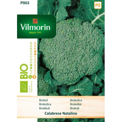 Brokuł zielony Calabrese Natalino - 1 g