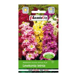 Nasiona lewkonii letniej, mieszanka kolorowych kwiatów letnich na rabaty i do wazonów.