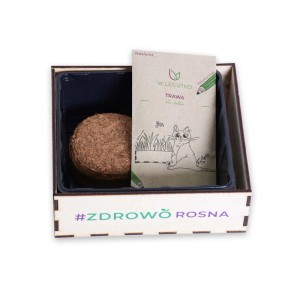 t.b.t. Zestaw do uprawy trawy dla kota w drewnianym pudełku z nasionami i podłożem kokosowym.