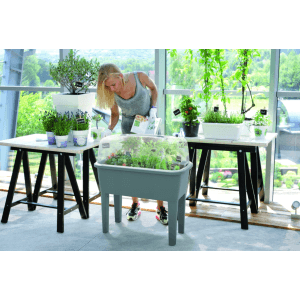 Kamiennoszara podwyższona grządka 4 w 1 z przezroczystą pokrywą na zioła i warzywa.