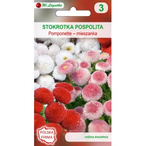Opakowanie nasion kolorowych, pełnych stokrotek (Bellis perennis) 'Pomponette'.