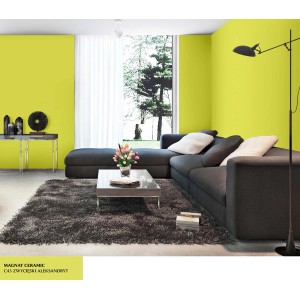 Pokój dzienny z farbą ścienną w kolorze jasnozielonym. Kolorowe farby do ścian.