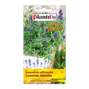 Opakowanie nasion lawendy (Lavandula officinalis) do ogrodu ziołowego.
