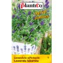 Opakowanie nasion lawendy (Lavandula officinalis) do ogrodu ziołowego.