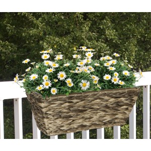 Pleciona skrzynka na kwiaty ze stokrotkami, idealna na balustrady balkonowe.