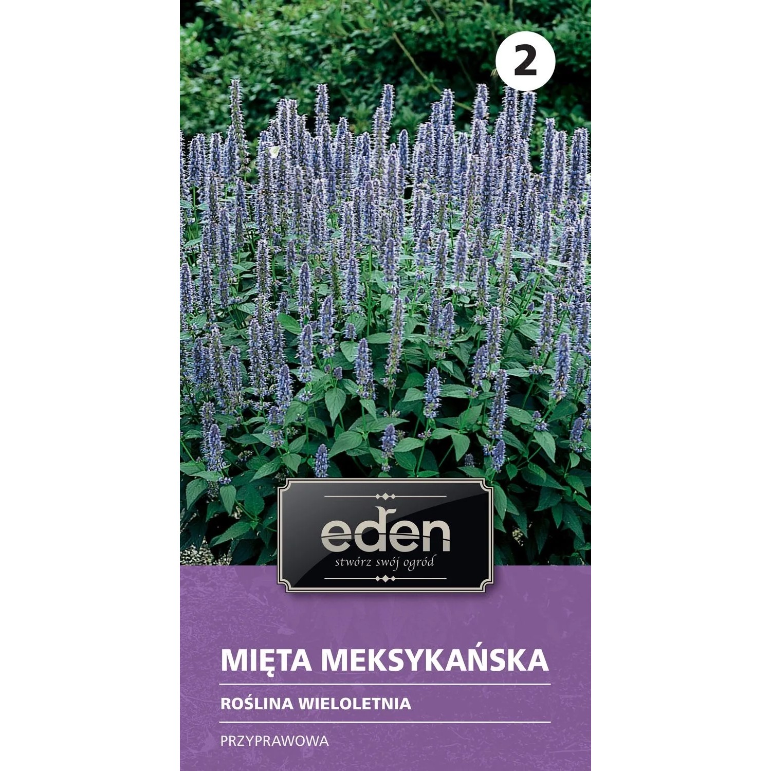 Mięta meksykańska - 0,1 g