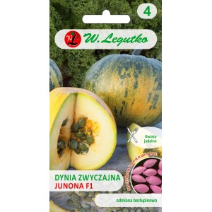 Opakowanie nasion dyni 'Junona F1': Nasiona dyni do własnej uprawy.