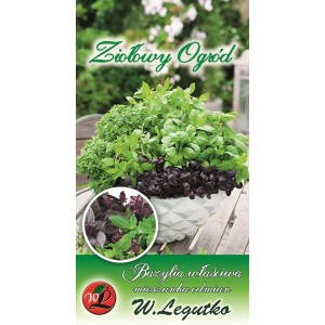 Zdjęcie nasion ziół t.b.t., różne odmiany bazylii w doniczce.