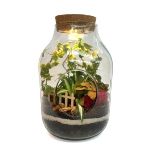 t.b.t. Las w szkle z roślinami, kamieniami i miniaturowym płotem w szkle.