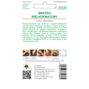 Opakowanie nasion bratka (Viola wittrockiana) z czerwonymi kwiatami i czarną plamką.