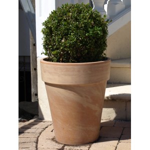 Duża, karmelowa doniczka XL (Ø 38 cm) z terakoty z bukszpanem.