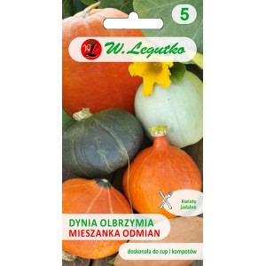 Opakowanie nasion z różnymi odmianami dyni do uprawy warzyw.