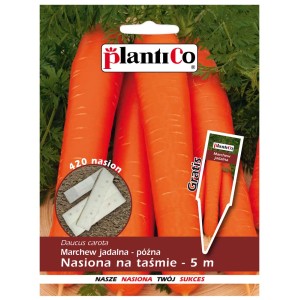 Nasiona marchwi na taśmie, marchew jadalna, 5m. Uprawiaj własne warzywa z OBI!