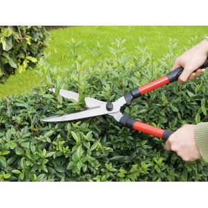 Ręczne nożyce do żywopłotu (53 cm) w użyciu podczas cięcia żywopłotu. Nożyce ogrodowe z czerwonymi uchwytami.