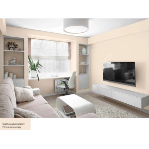 Pokój dzienny z farbą do ścian w kolorze jasnobeżowym. Kolorowe farby do ścian.