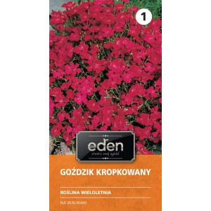 Goździk kropkowany - 0,5 g