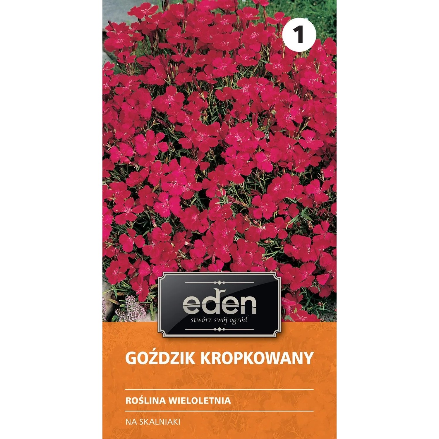 Goździk kropkowany - 0,5 g