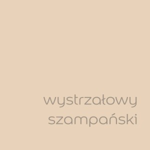Próbka koloru farby do ścian t.b.t. w kolorze szampańskim.