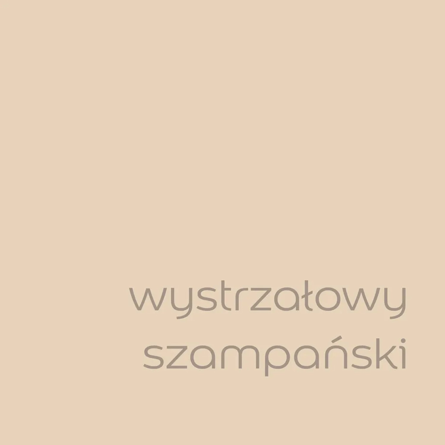 Próbka koloru farby do ścian t.b.t. w kolorze szampańskim.