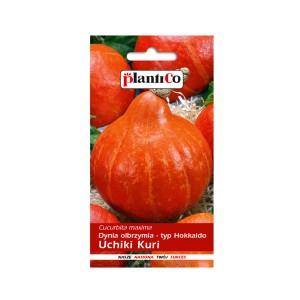 Opakowanie nasion dyni Hokkaido 'Uchiki Kuri', pomarańczowe dynie w tle.