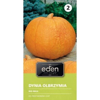 Dynia olbrzymia Big Max - 3 g