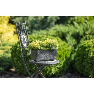 Prostokątna, ciemna donica t.b.t. z roślinami na stole w ogrodzie.