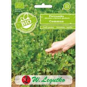 Nasiona pietruszki BIO 'Commun' do uprawy w ogrodzie.
