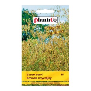 Opakowanie nasion kminku zwyczajnego (Carum carvi) do ogrodu ziołowego.