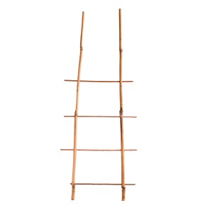 Bambusowa podpórka do roślin do ogrodu i pergoli, idealna dla roślin pnących.