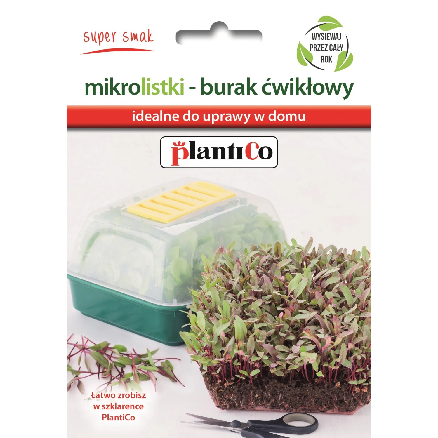 plantiCo Nasiona na mikrolistki burak 10 g
