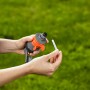 Zraszacz turbinowy Gardena Comfort z saniami w dłoni, zbliżenie na szpilkę czyszczącą.