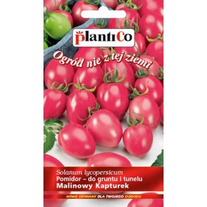 Opakowanie nasion pomidora malinowego "Malinowy Kapturek".